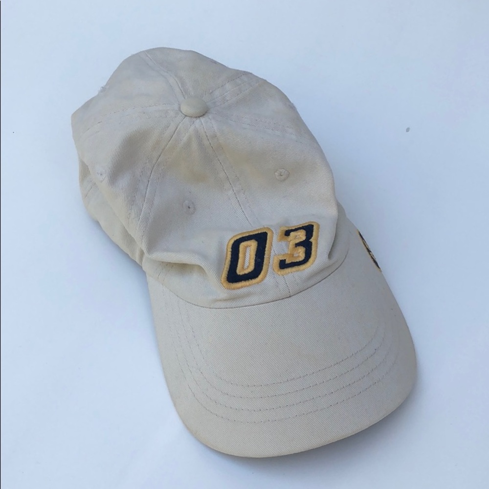 American Eagle Outfitters Y2K dad hat